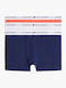 Tommy Hilfiger Set Kids Gray Panties 3 Pieces