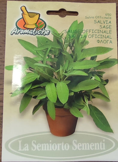 Sage Σπόροι Φασκόμηλο
