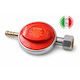Proton Gas Regulator Low Pressure Flow 1 kg/h