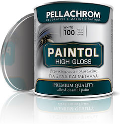 Pellachrom Βερνικόχρωμα 0.35lt Λευκο Γυαλιστερό Pellachrom Βερνικόχρωμα 0.35lt Λευκο Γυαλιστερό