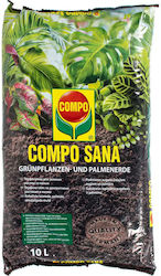 Potting Soil Substrate Green Plants Palms 10l Compo