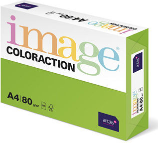 Hârtie Coloraction Copier Java A4 80 G/m2 Verde Mediu 500 Foi Potrivită Pentru Imprimare Inkjet