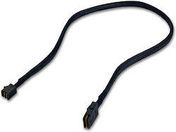 Fantec Fantec Src Sff8643 Към Sff8087 Кабел Src Src-Разширителна Платка 6g/12g Шаси Fantec Fantec Src Sff8643 Към Sff8087 Кабел Src Src-Разширителна Платка 6g/12g Шаси