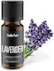 Lavender Essential Oil