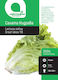 Botanic Curly Lettuce Seeds