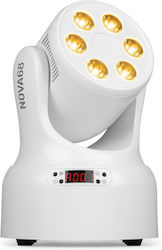 Beamz LED (RGBW) Beamz LED (RGBW)