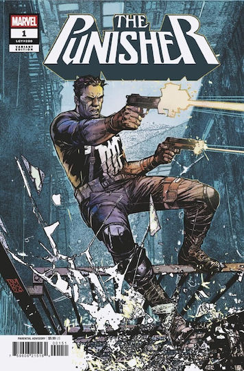 Punisher 1 Alex Maleev Variant