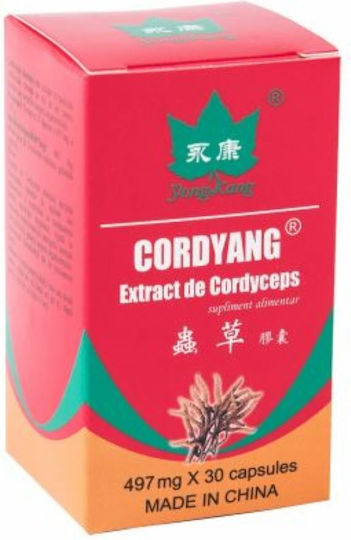 Yongkang Extract de Cordyceps Cordyang 497 mg 30 capsule