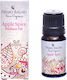 Primo Bagno Primo Bagno Apfel Gewürz Duftöl Aromatisches Öl Mělo 10ml