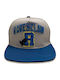 Harry Potter Ravenclaw College Snapback Kappen Grau Har01604sbcos