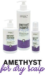 Imel Amethyst Set Pentru Îngrijirea Părului 3 Bucăți