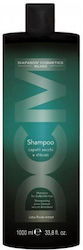 DCM Șampon Uscat 1000ml
