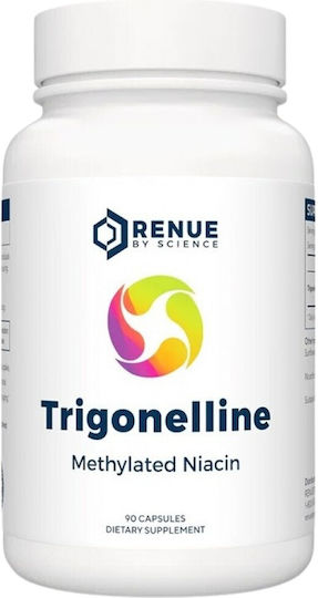 Тригонелин – прекурсор на NAD+ 250 mg 90 Капсули