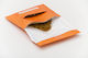 Καπνοθήκη Paprcuts Orange