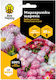 Bee Happy Daisy Mixed Seeds