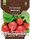 Red Radish Seeds Large