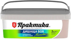 Стайна Пластмасова Боя Цвят Фрезия 5 Кг Praktika