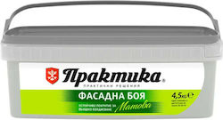 Vopsea Pentru Fațade Granit 4.5 Kg Praktika