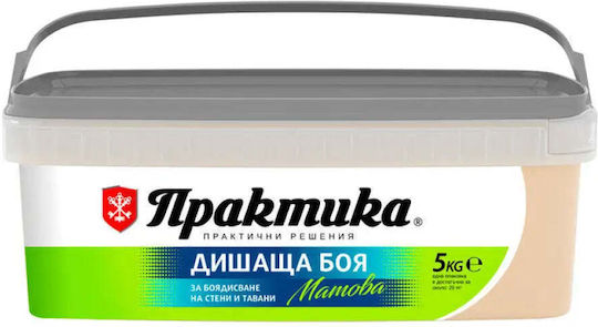 Стайна Пластмасова Боя Цвят Сахара 5 Кг Praktika