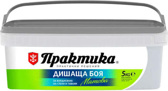 Interior Paint Color Silver 5 Kg Praktika