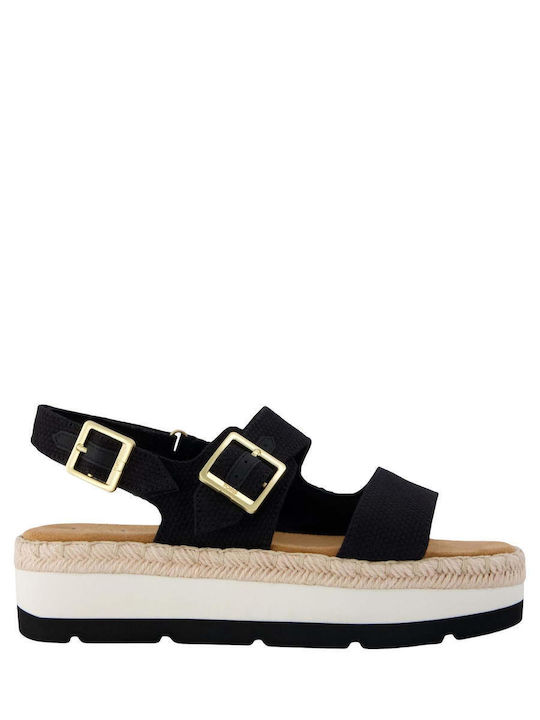 Toms
