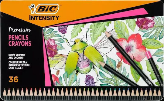 Intensity Premium Colored Pencils 36 Colors Bic