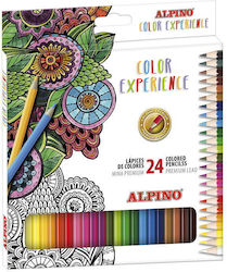 Alpino Colored Pencils Cardboard Box 24 Colors Set Alpino Color Experience Premium Alpino Colored Pencils Cardboard Box 24 Colors Set Alpino Color Experience Premium