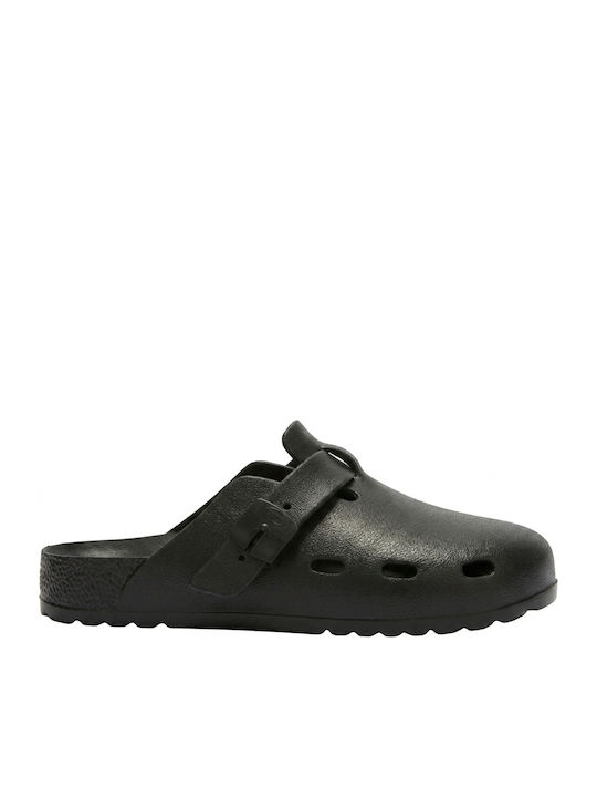 Scholl Scholl