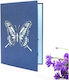 Pop-up Butterfly Card Butterflies Kiriori 10720