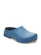 Birkenstock Anatomic Clogs Blue