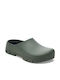 Birkenstock Anatomic Green Clogs