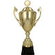 Victoria Sport Gold Sports Trophy
