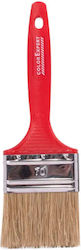 Universal Brush Class 6 70 Mm Mixed Bristle 70 Mm Color Expert