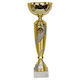 Tryumf Gold Sports Trophy