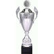 Tryumf Gold Trophäe Sportpreise