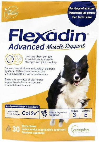 Vetoquinol Dog Treat in Tablets for Joints