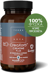 TerraNova CreaXorb Creatine Plus TerraNova CreaXorb Creatine Plus