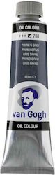 Royal Talens 708 Paynes Grey 40ml 1τμχ