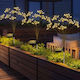 Stl-7275-60 Solar Light Dmuchawiec Tree Fireworks 72cm 60 Led Saska Garden