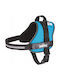 Hobbydog R2 Julletta Blue Harness
