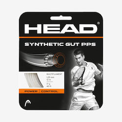 Head 281065
