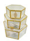 Trends Set of 3 Glass Decorative Boxes