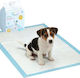 Snibbs Hygienic Training Pads Dogs 20 Pieces Dogs Collection