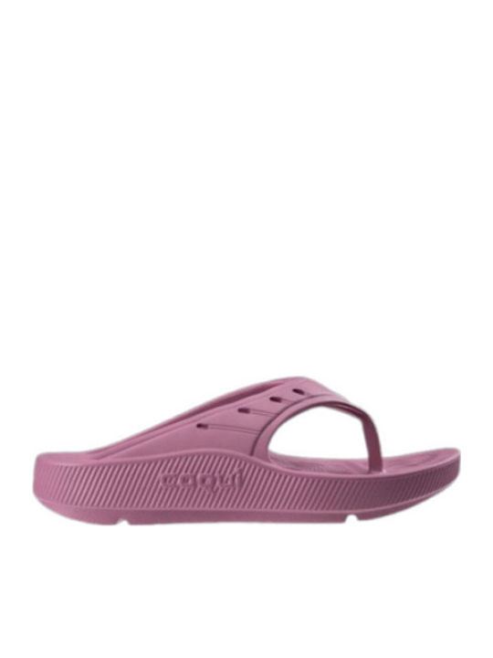 Coqui