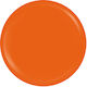Sensopro Milano Expert Line Uv Colored Gel Suns...