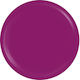 Sensopro Milano Expert Line Uv Colored Gel Garn...
