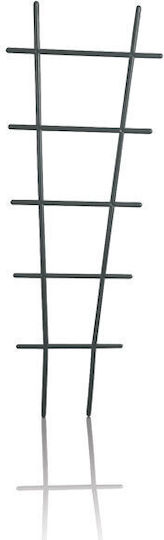 Ladder Support Flowers Drab Idr3 Anthracite