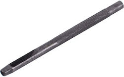 Zamba F2 Vasby