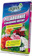 Substrate Geranium 10l