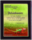 Plastic Diploma Color Touch Laminate